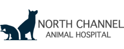North Channel Animal Hospital-FooterLogo
